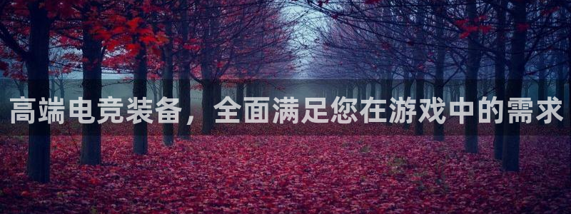 小艾电竞平台：高端电竞装备，全面满足您在游戏中的需求