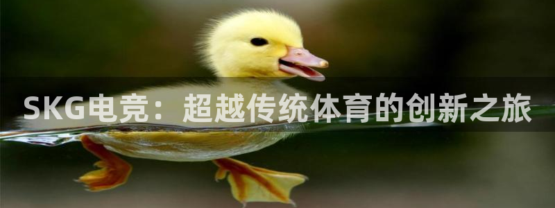 小艾电竞app下载官网：SKG电竞：超越传统体育的创新之旅