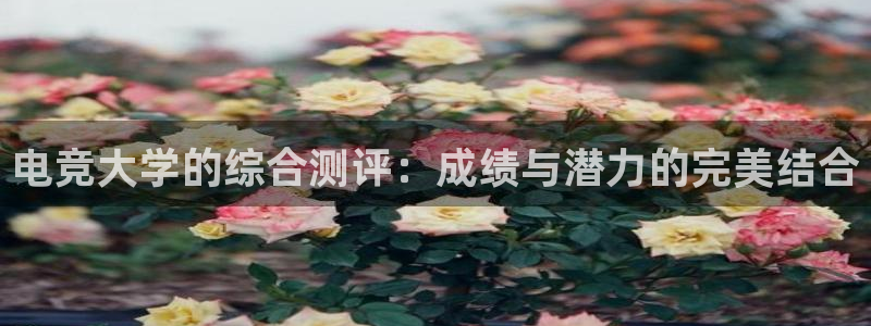 小艾电竞网页版登录：电竞大学的综合测评：成绩与潜力的完美结合