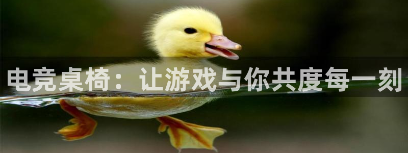 小艾电竞平台官方网：电竞桌椅：让游戏与你共度每一刻