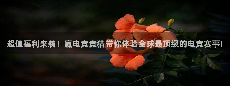 小艾电竞平台官方网：超值福利来袭！赢电竞竞猜带你体验全球最顶级的电竞赛事!