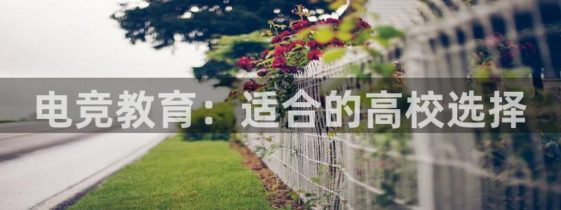 小艾电竞平台：电竞教育：适合的高校选择