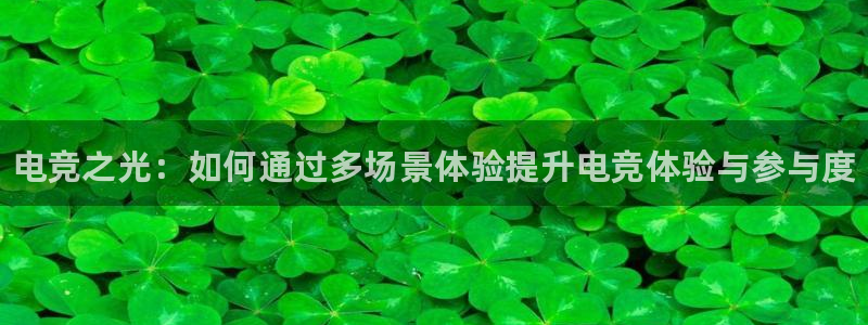小艾电竞网页版登录：电竞之光：如何通过多场景体验提升电竞体验与参与度
