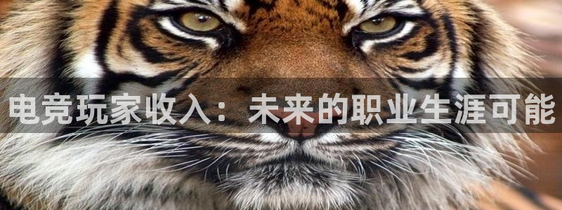 小艾电竞：电竞玩家收入：未来的职业生涯可能