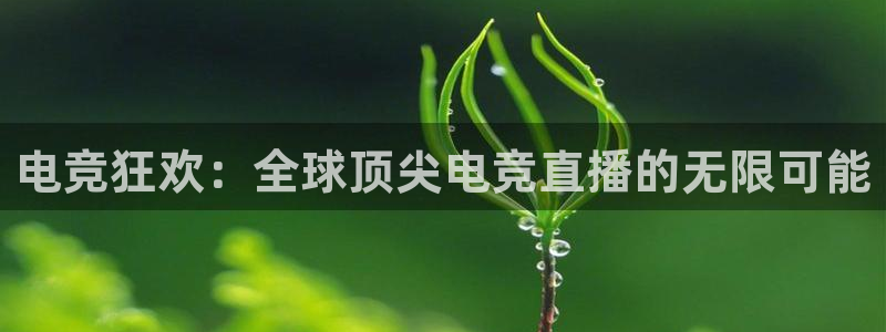 小艾电竞app：电竞狂欢：全球顶尖电竞直播的无限可能