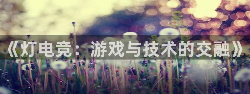 小艾电竞网页版登录：《灯电竞：游戏与技术的交融》