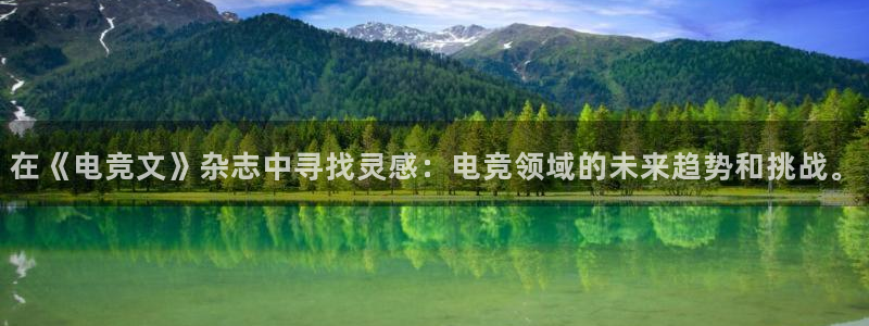小艾电竞平台官方网：在《电竞文》杂志中寻找灵感：电竞领域的未来趋势和挑战。