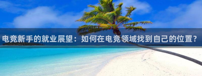 小艾电竞app下载官网：电竞新手的就业展望：如何在电竞领域找到自己的位置？