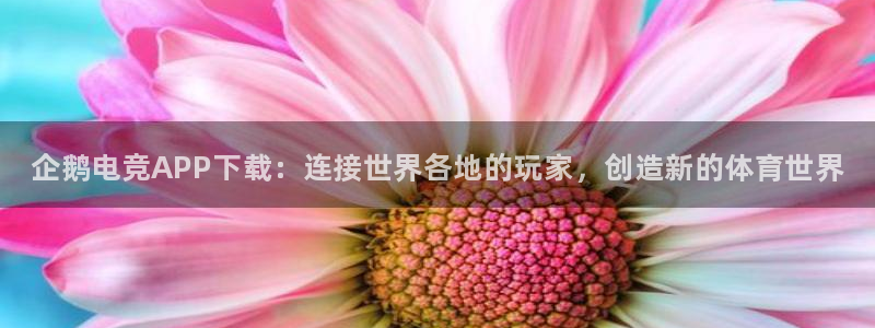 小艾电竞app下载官网：企鹅电竞APP下载：连接世界各地的玩家，创造新的体育世界