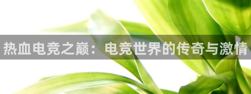 小艾电竞app下载官网：热血电竞之巅：电竞世界的传奇与激情