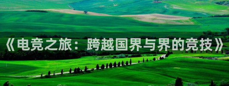 小艾电竞平台：《电竞之旅：跨越国界与界的竞技》