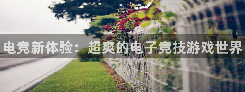 小艾电竞：电竞新体验：超爽的电子竞技游戏世界
