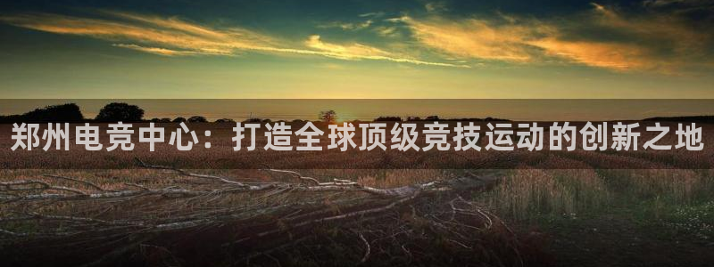 小艾电竞网页版登录：郑州电竞中心：打造全球顶级竞技运动的创新之地