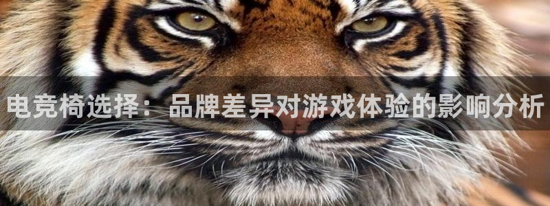 小艾电竞平台官方网：电竞椅选择：品牌差异对游戏体验的影响分析