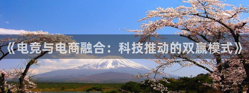 小艾电竞app：《电竞与电商融合：科技推动的双赢模式》