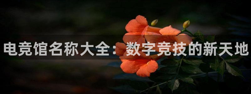 小艾电竞平台官方网：电竞馆名称大全：数字竞技的新天地