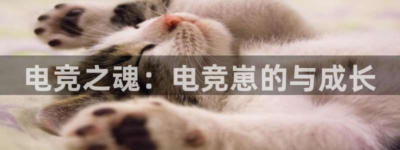小艾电竞官网：电竞之魂：电竞崽的与成长