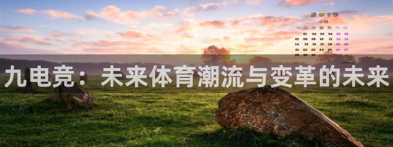 小艾电竞：九电竞：未来体育潮流与变革的未来