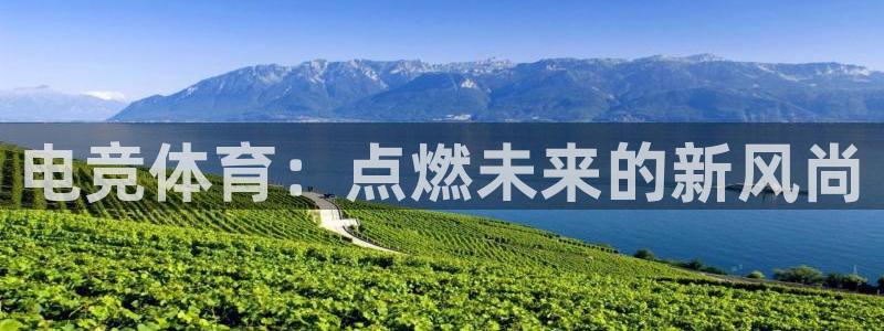 小艾电竞平台官方网：电竞体育：点燃未来的新风尚