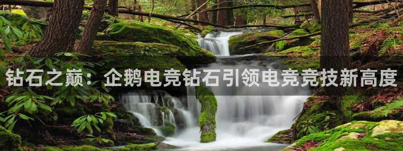 小艾电竞app下载官网：钻石之巅：企鹅电竞钻石引领电竞竞技新高度