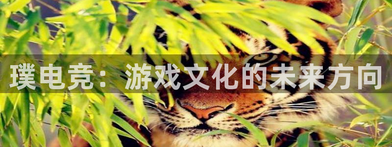 小艾电竞网页版登录：璞电竞：游戏文化的未来方向