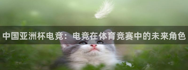小艾电竞网页版登录：中国亚洲杯电竞：电竞在体育竞赛中的未来角色