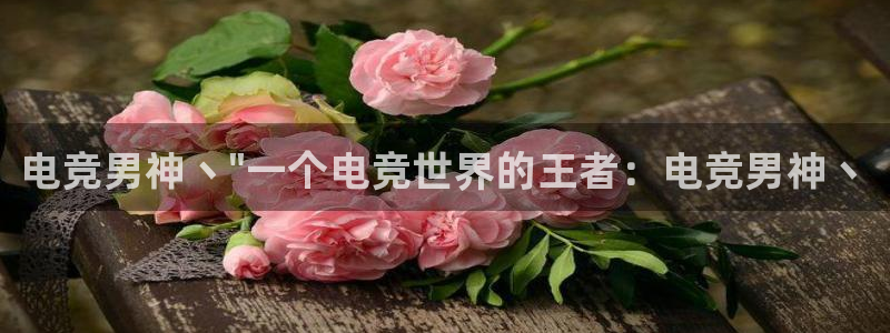 小艾电竞官网：电竞男神丶\