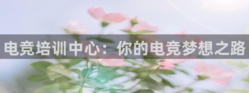 小艾电竞：电竞培训中心：你的电竞梦想之路