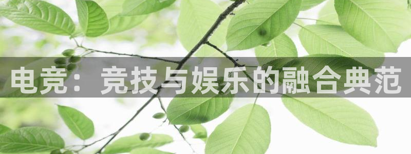 小艾电竞平台：电竞：竞技与娱乐的融合典范