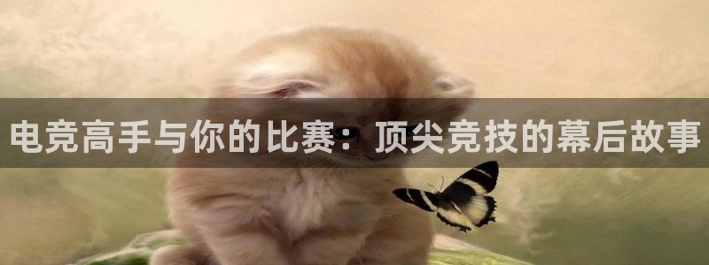 小艾电竞平台：电竞高手与你的比赛：顶尖竞技的幕后故事
