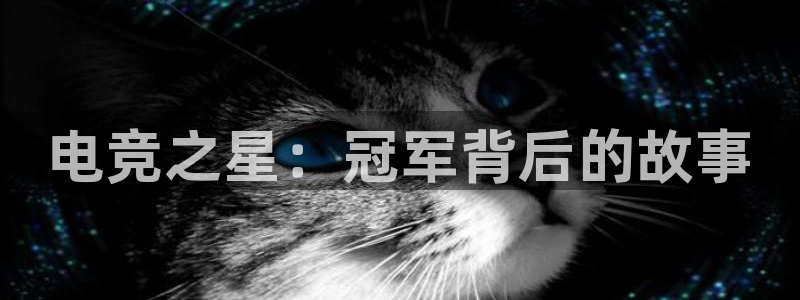 小艾电竞平台：电竞之星：冠军背后的故事