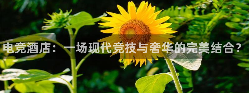 小艾电竞官网：电竞酒店：一场现代竞技与奢华的完美结合？