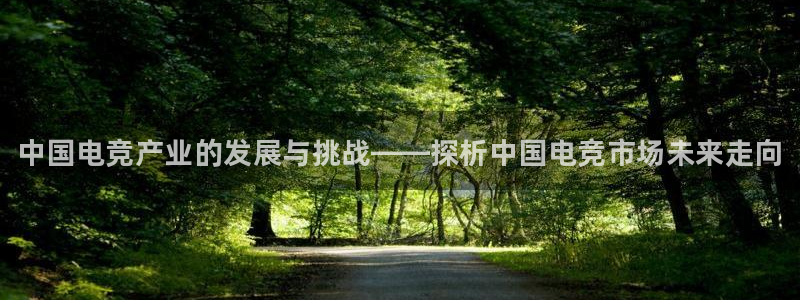 小艾电竞app下载官网：中国电竞产业的发展与挑战——探析中国电竞市场未来走向