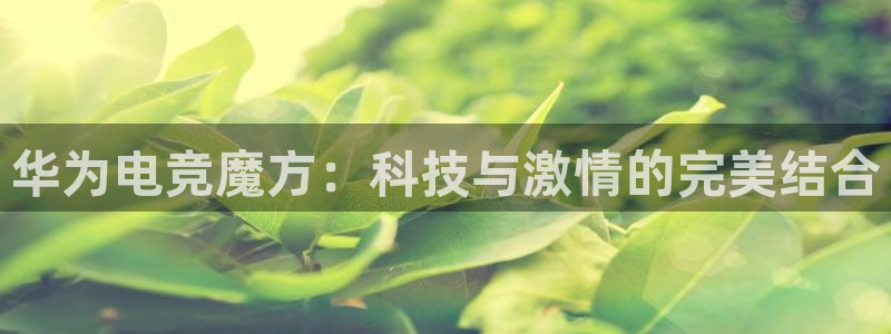 小艾电竞官网：华为电竞魔方：科技与激情的完美结合