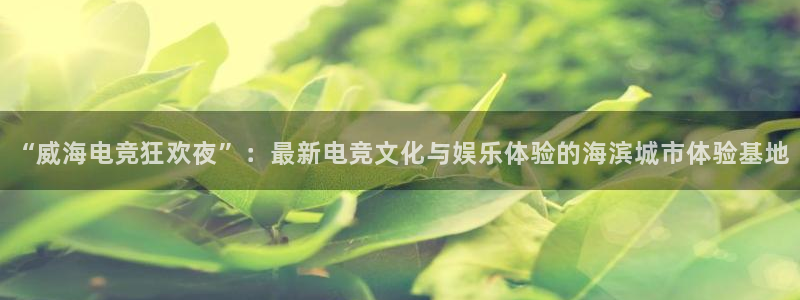 小艾电竞平台官方网：“威海电竞狂欢夜”：最新电竞文化与娱乐体验的海滨城市体验基地