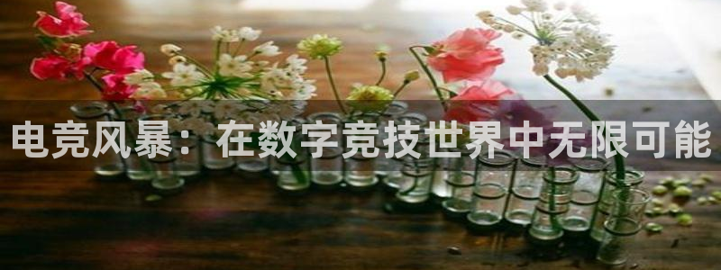 小艾电竞平台官方网：电竞风暴：在数字竞技世界中无限可能