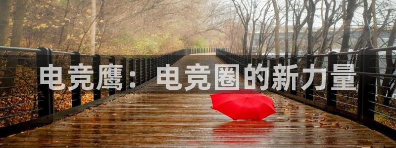 小艾电竞：电竞鹰：电竞圈的新力量