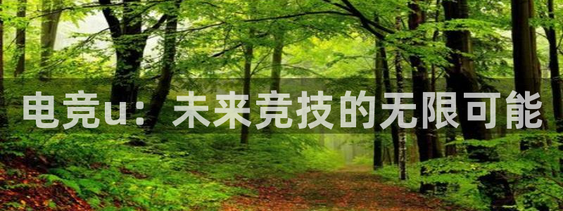 小艾电竞app：电竞u：未来竞技的无限可能