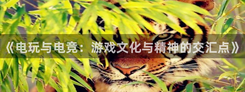 小艾电竞app下载官网：《电玩与电竞：游戏文化与精神的交汇点》