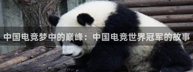 小艾电竞：中国电竞梦中的巅峰：中国电竞世界冠军的故事