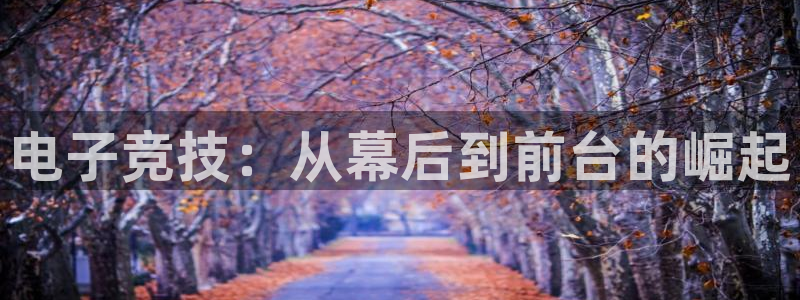小艾电竞网页版登录：电子竞技：从幕后到前台的崛起