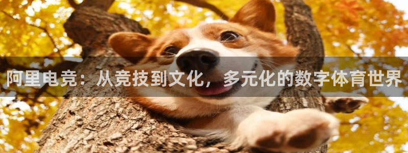 小艾电竞app：阿里电竞：从竞技到文化，多元化的数字体育世界