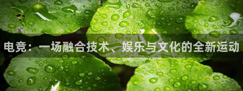 小艾电竞：电竞：一场融合技术、娱乐与文化的全新运动