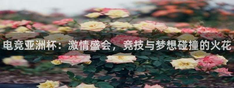 小艾电竞官网：电竞亚洲杯：激情盛会，竞技与梦想碰撞的火花