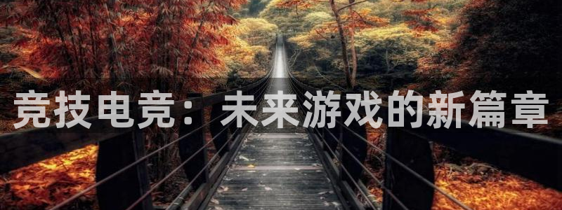 小艾电竞网页版登录：竞技电竞：未来游戏的新篇章