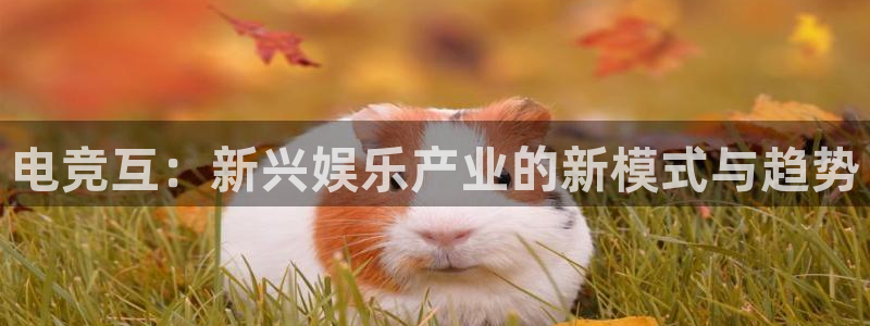 小艾电竞app下载官网：电竞互：新兴娱乐产业的新模式与趋势