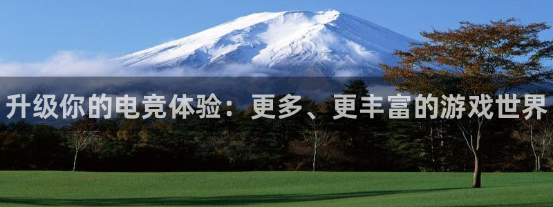 小艾电竞官网：升级你的电竞体验：更多、更丰富的游戏世界