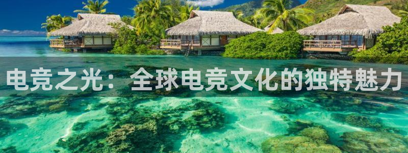 小艾电竞平台官方网：电竞之光：全球电竞文化的独特魅力
