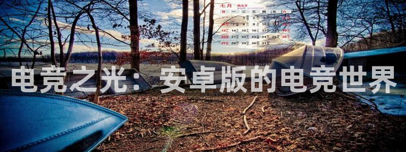 小艾电竞网页版登录：电竞之光：安卓版的电竞世界