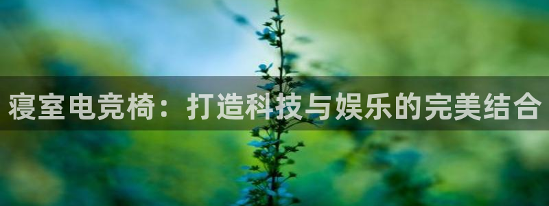 小艾电竞网页版登录：寝室电竞椅：打造科技与娱乐的完美结合